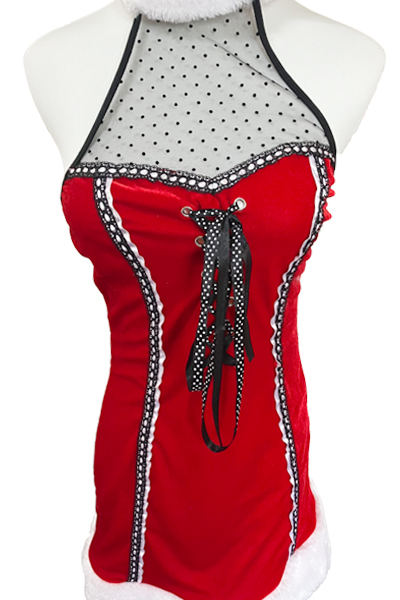 【213】サンタコス