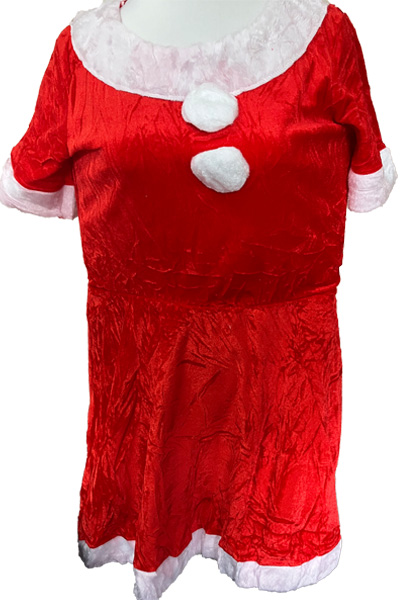 【214】サンタコス