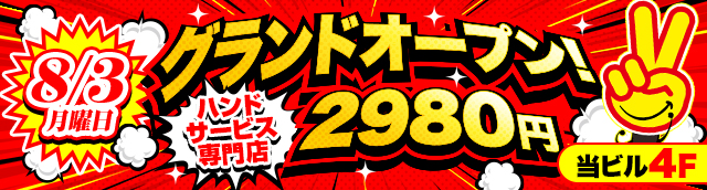 ����2980�~�O�����h�I�[�v��